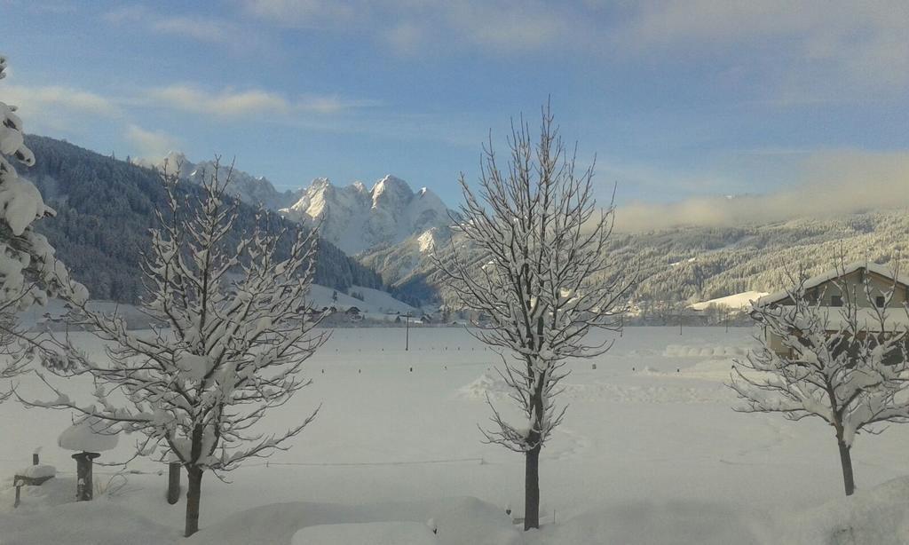 Pension Edelweiss Appartement Wimmer Gosau Bagian luar foto
