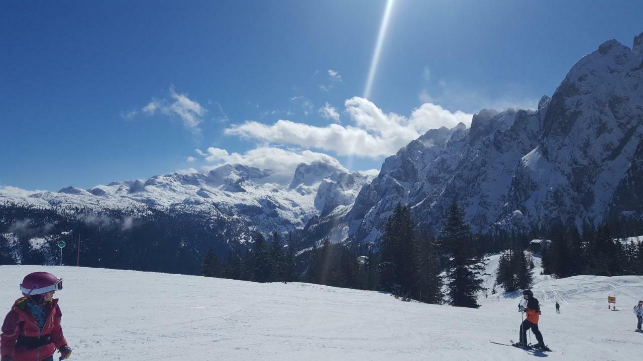 Pension Edelweiss Appartement Wimmer Gosau Bagian luar foto