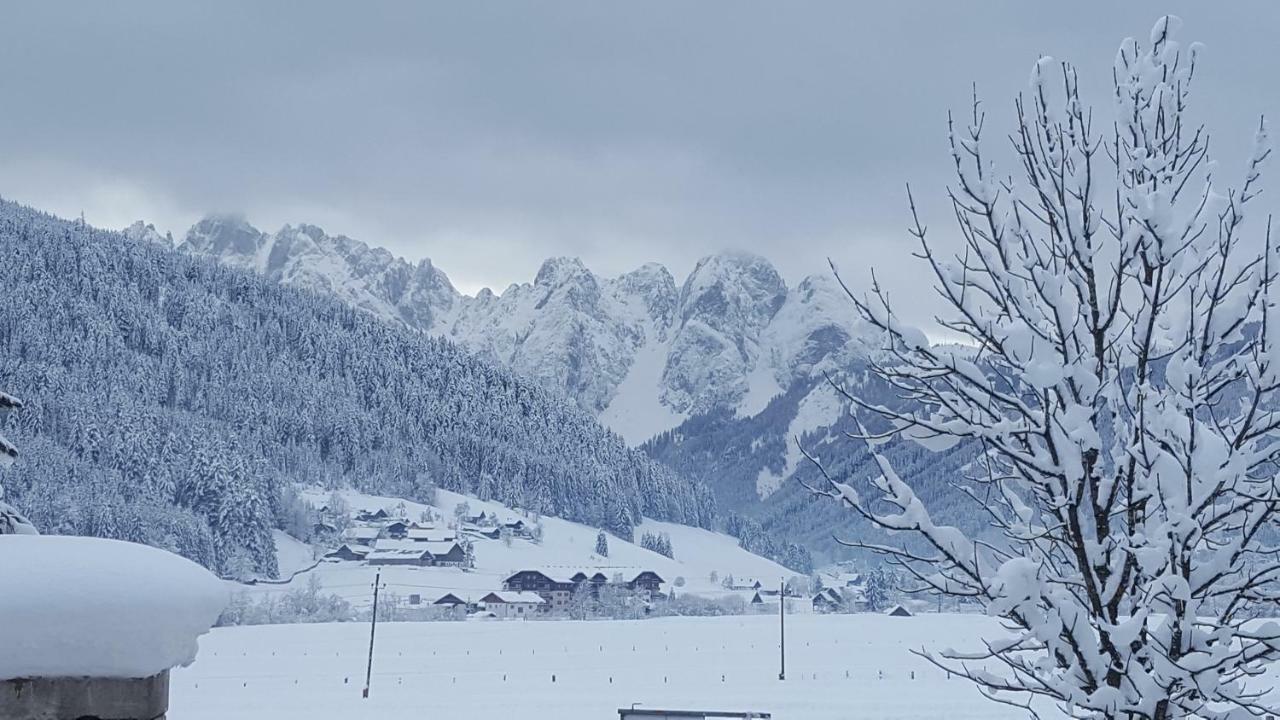 Pension Edelweiss Appartement Wimmer Gosau Bagian luar foto